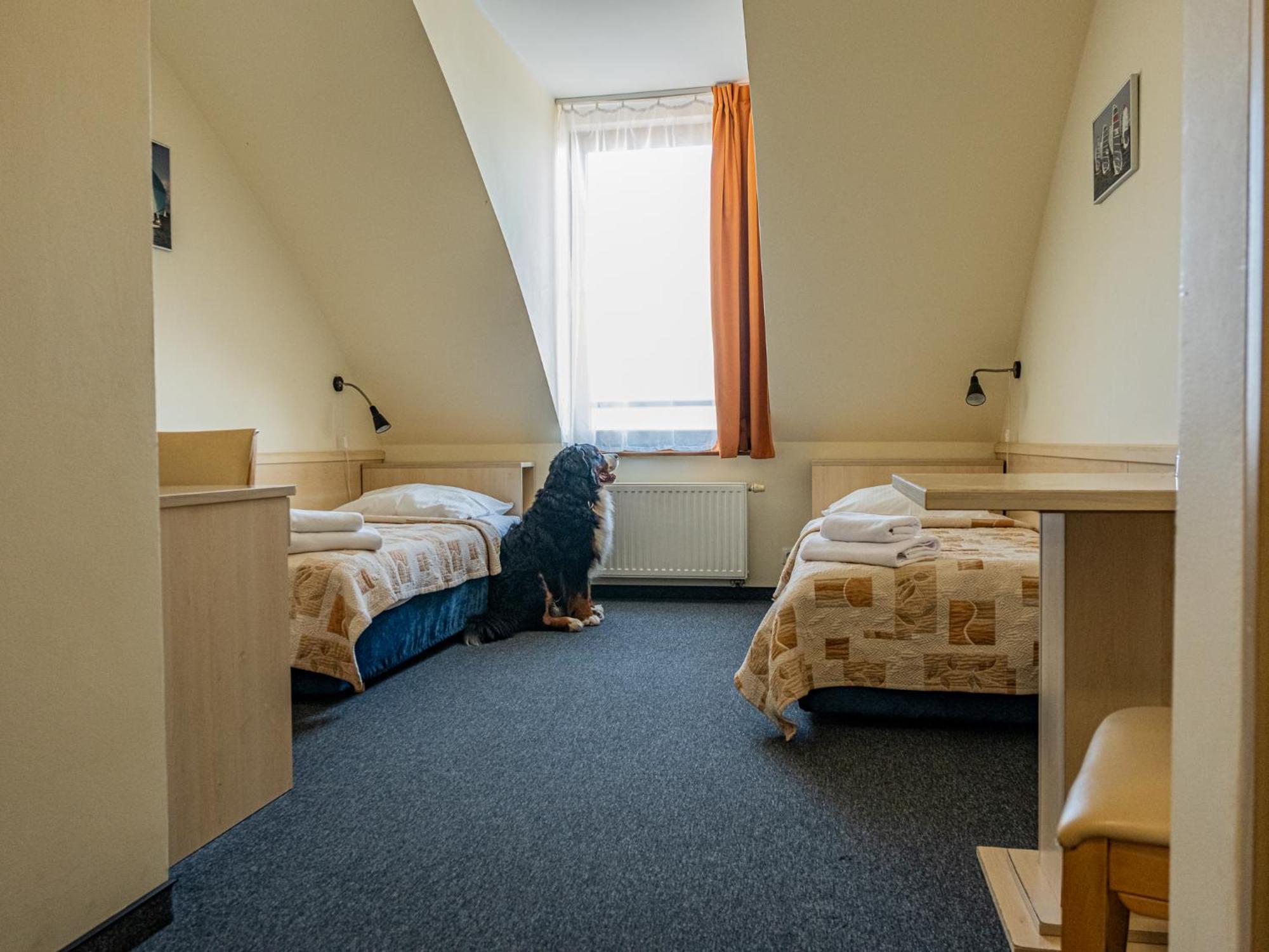 Hotel Galion Gdańsk Eksteriør bilde